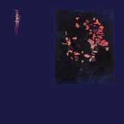 Up Home! , A.R. Kane