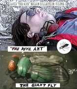 David "the Rock" Nelson Collection: Volume 2 , Janet Okulanis