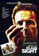 Hide in Plain Sight , James Caan