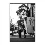 At [Import] , Tim Finn