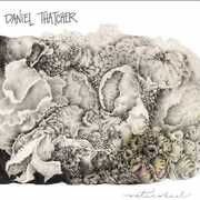 Waterwheel , Daniel Thatcher