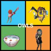 Owls (Translucent Blood Orange) , The Owls