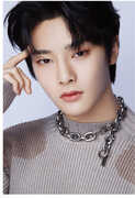 Dicon D'Festa Stray Kids - 08 I.N - 196pg 3D Lenticular Dicon Book w/ 88pg Deco Book, 4 Deco Stickers + 5pc Photo Card Set [Import] 