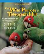 The Wild Parrots of Telegraph Hill , Mark Bittner