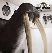 Walrus , Walrus