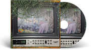 Great Television , Elizabeth Cook