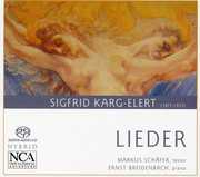 Lieder , Markus Schafer