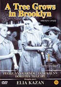 A Tree Grows in Brooklyn [Import] , Dorothy McGuire