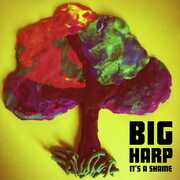 It's a Shame , Big Harp