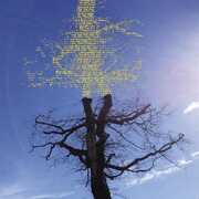 Rooting For Love , Laetitia Sadier