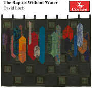 The Rapids Without Water , Hanneloere Mueller