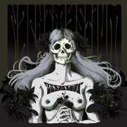 Assassins - Black Meddle Pt. I , Nachtmystium