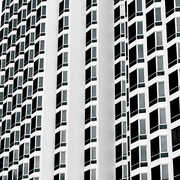 Fixation / White Walls , The KVB