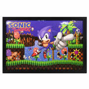 Sonic - Green Hill Zone Point 11x17 Framed Gel Coat