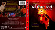 The Karate Kid Part III , Ralph Macchio