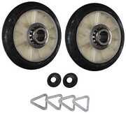 The Case Of Hana And Alice 