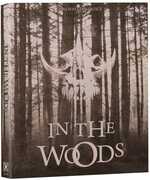 In The Woods , DJ Perry