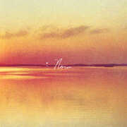 Norm - Eco Mix , Andy Shauf