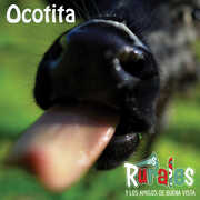 Ocotita , Los Rurales Y Los Amigos De Buenavista