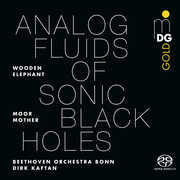 Analog Fluids of Sonic Black Holes , Moor Mother