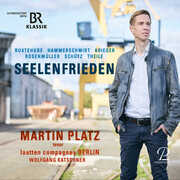 Seelenfrieden , Martin Platz