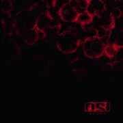 BLOOD , Osi