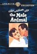 The Male Animal , Henry Fonda