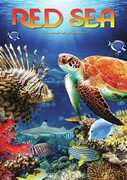 Red Sea 