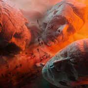 Will Of The People , Muse