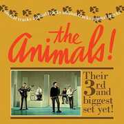 Animal Tracks , The Animals