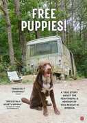 Free Puppies! 
