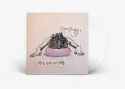 Face Full Of Cake , Spin Doctors