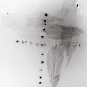 Seis Amorfismos , Diego Caicedo