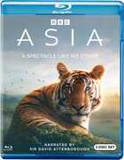 Asia 