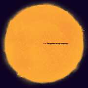 This Garden Is Only Temporary [Import] , Andy White