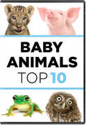 Baby Animals: The Top Ten 
