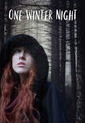 One Winter Night 