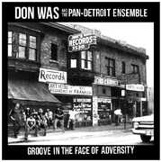 Groove In The Face Of Adversity , Don Was