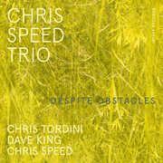 Despite Obstacles , Chris Speed Trio