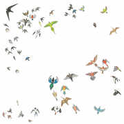 No Fixed Point In Space , Modern Nature