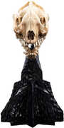 WETA Workshop Polystone - The Lord of the Rings Trilogy - Skull of a Warg Miniature Polystone Statue