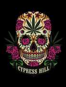 Rocksax - Cypress Hill - Tequilla Sunrise - Sherpa Fleece Throw (50 in x 60 in) 