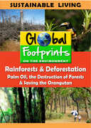 Rainforests & Deforestation, Palm Oil & Saving The Orangutan 