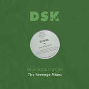 What Would We Do - The Revenge Mixes , DSK