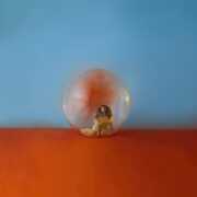 In The Meantime , Alessia Cara