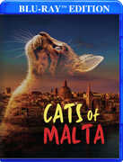 Cats Of Malta 