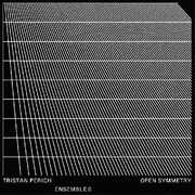 Open Symmetry , Tristan Perich