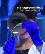 The Nature of Things: Bugs, Bones and Botany 