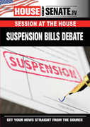 Suspension Bills Debate , Nancy Pelosi