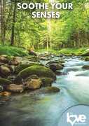 The Love Destination Courses: Soothe Your Senses 